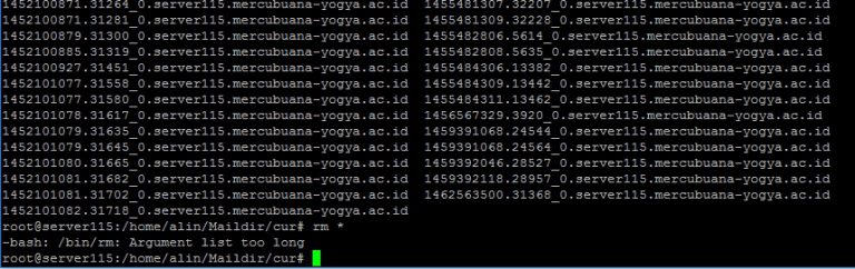 Menghapus file yang banyak – Argument list too long