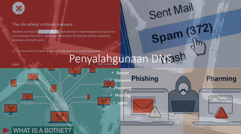 Penyalahgunaan DNS