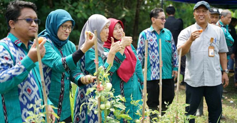 Merti Bumi Program Studi Agroteknologi Pertanian UMBY